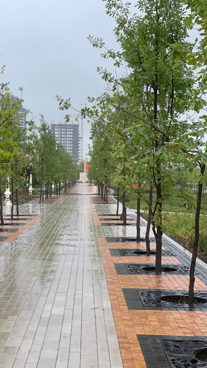 Приствольная решетка для дерева ZKING CRUST 1.2х1.2м Черная в Бийске фото