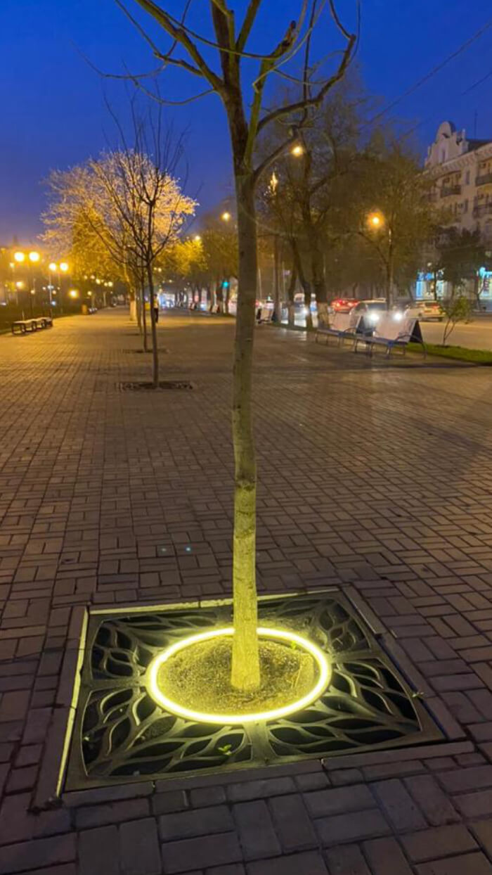 Приствольная решетка для дерева ZKING CRUST 1.2х1.2м Черная в Бийске фото